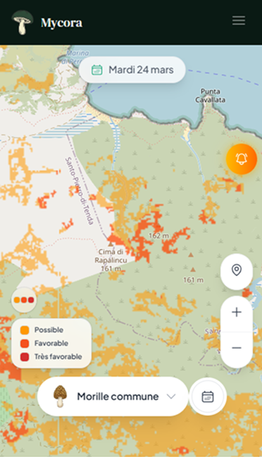 Aperçu de la carte Mycora