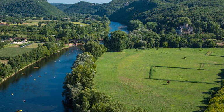 ¿Dónde encontrar setas en Extremadura?