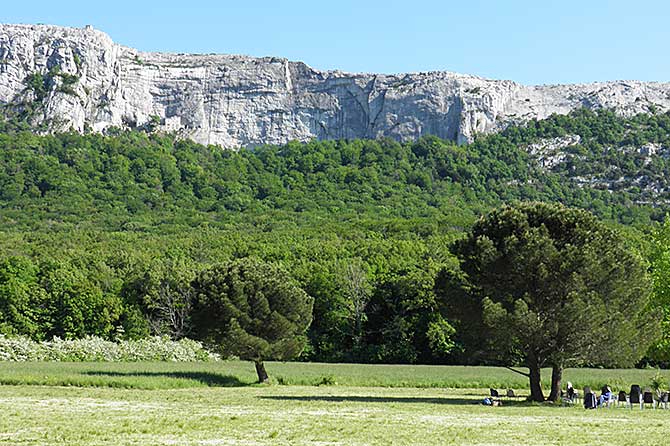 ¿Dónde encontrar setas en la Comunitat Valenciana?